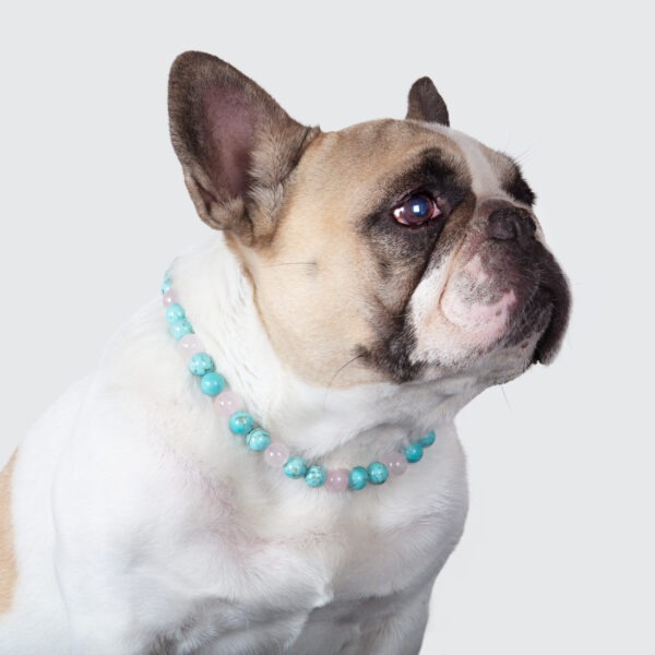 Collier pour chien hypersensible – Image 2