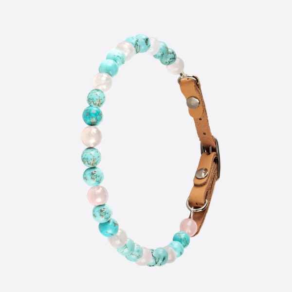 Collier pour chien hypersensible