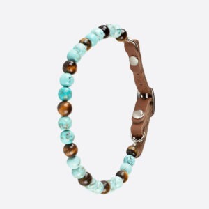 Collier pour chien hyperactif