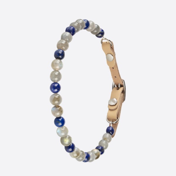 Collier pour chien un peu déprimé ou fatigué