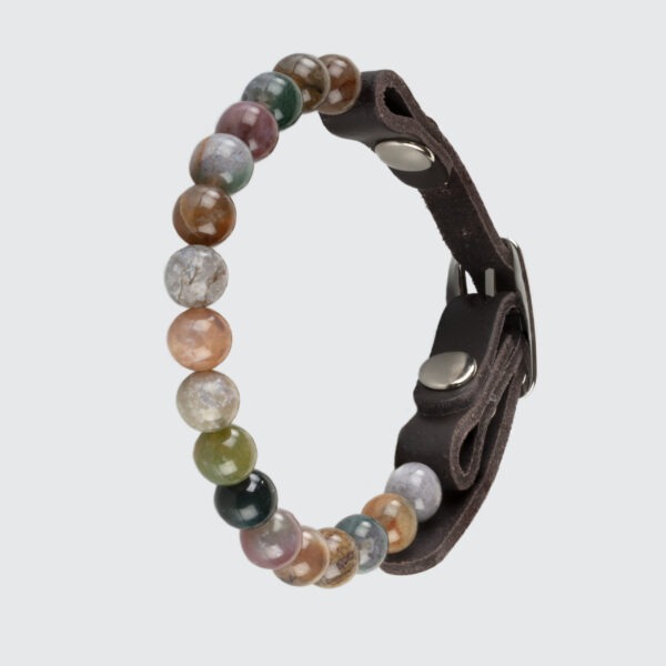 Collier pour chat trop dépendant
