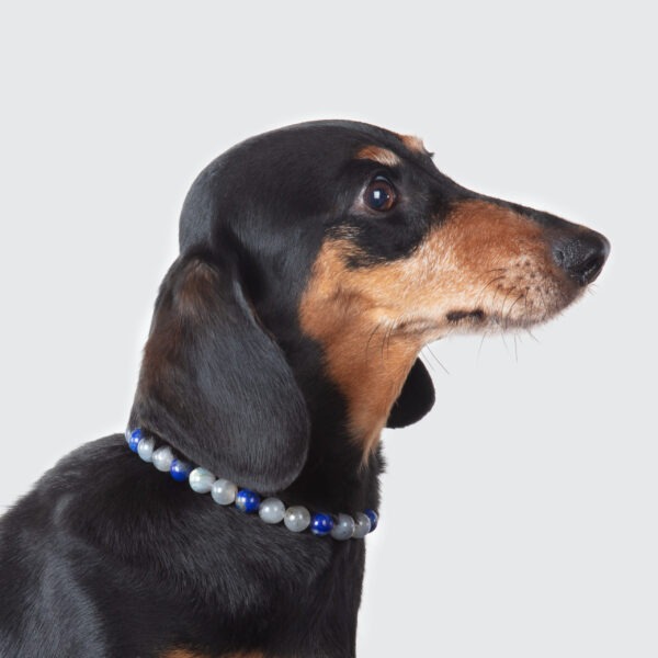 Collier pour chien un peu déprimé ou fatigué – Image 2