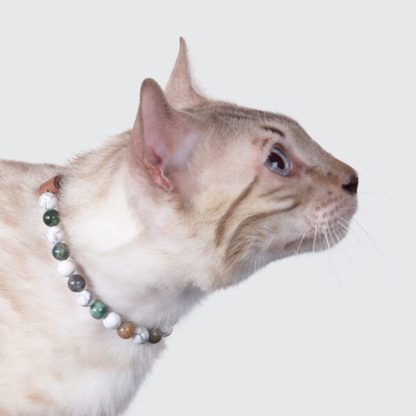 Collier pour chat anti-agressivité – Image 2