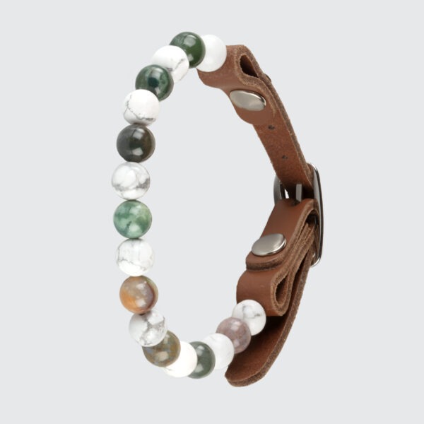 Collier pour chat anti-agressivité