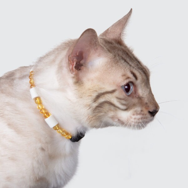 Collier anti-tiques & puces (Chat) – Image 2