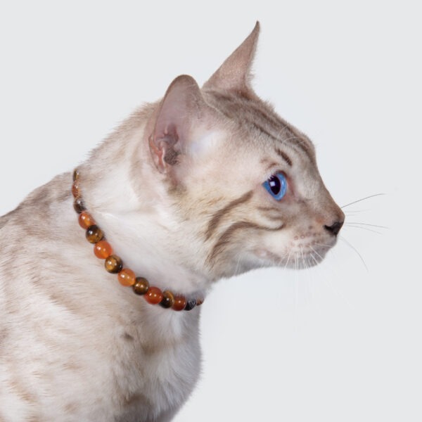 Collier pour chat anti-tristesse – Image 2