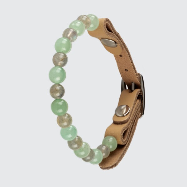 Collier pour chat qui n’aime pas les changements