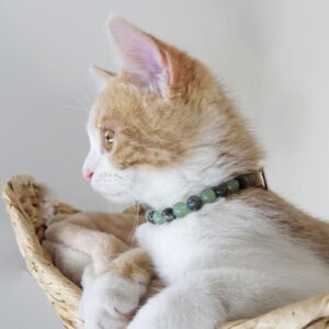 Lithothérapie chats et chatons