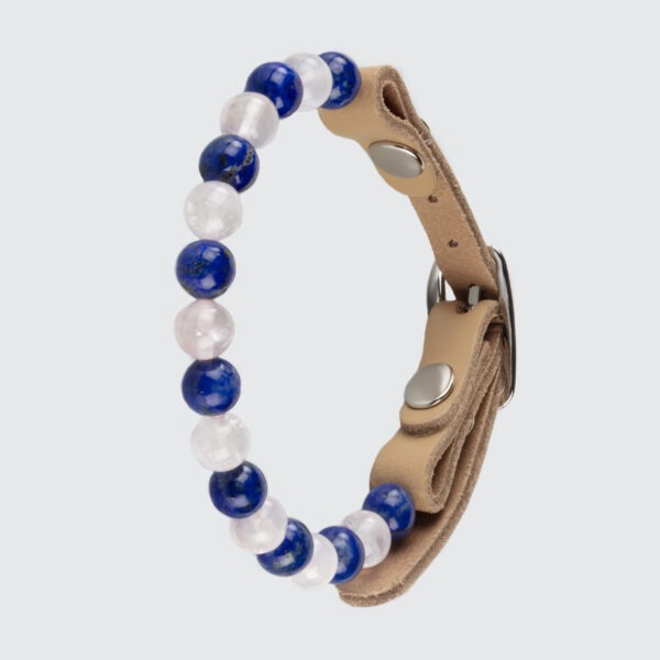 Collier pour chat trop indépendant