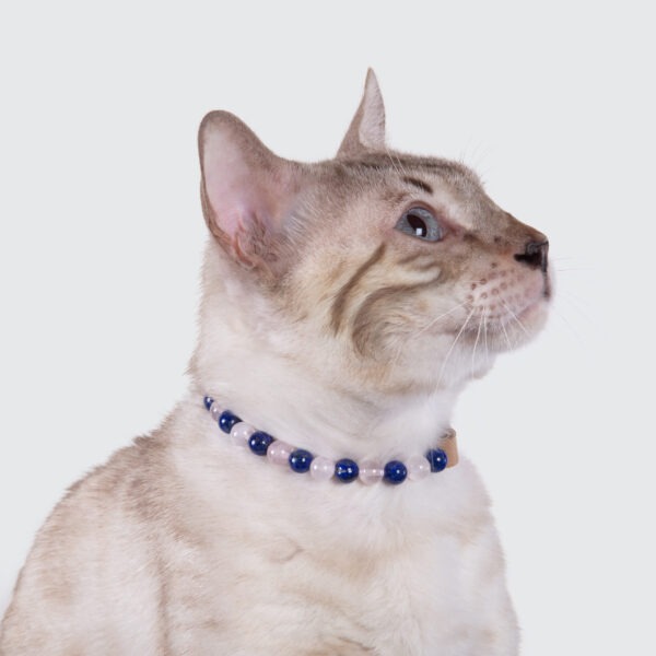Collier pour chat trop indépendant – Image 2