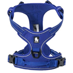 Harnais pour chien réfléchissant - couleur bleu roi