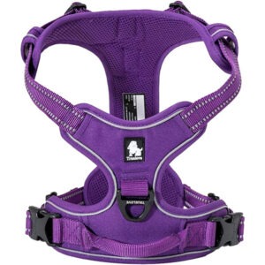 Harnais pour chien réfléchissant - couleur violet