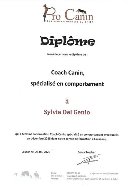 Coach-Canin-specialisation-en-comportement